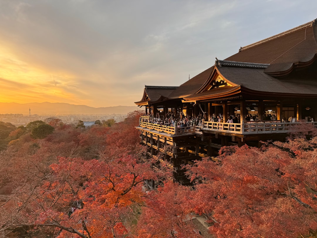 Traditional Japanese temple at golden hour with cherry blossoms
