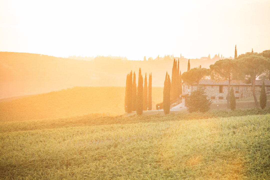 Tuscan countryside at sunset